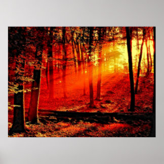 Poster Profondeur 59
