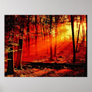 Poster Profondeur 59