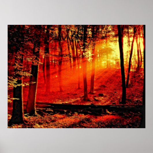 Poster Profondeur 59 (Devant)