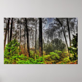 Poster Profondeur 7 molle (Devant)