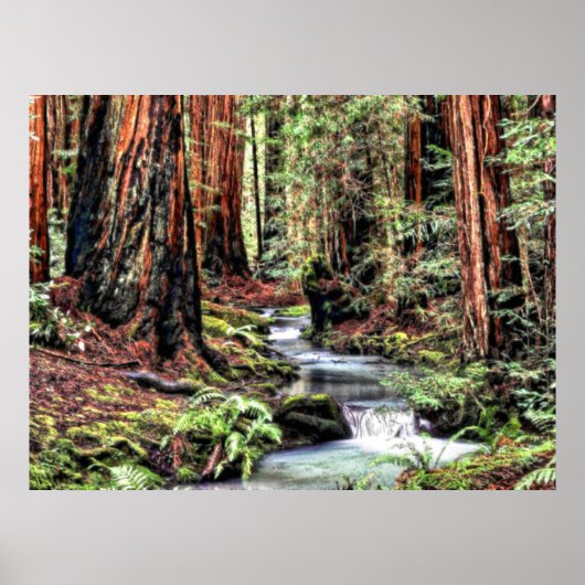 Poster Profondeur 92 Bristle Lum (Devant)