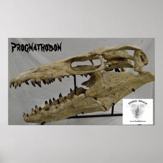 Poster Prognathodon Mosasaur (Devant)