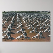 Poster Programme d'entraînement physique pour les recrues (Devant)