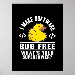 Poster Programmer rendre le logiciel sans bogue
