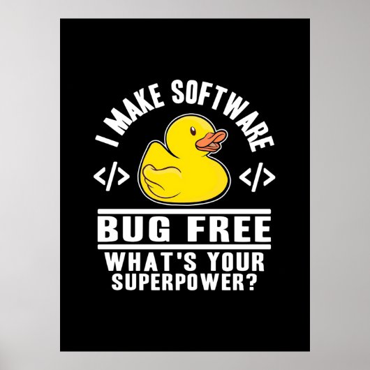 Poster Programmer rendre le logiciel sans bogue (Devant)