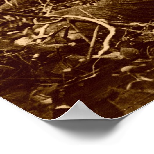 Poster progressistes (Coin)