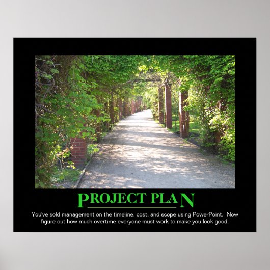 Poster Project Plan - just make it match PowerPoint (Devant)