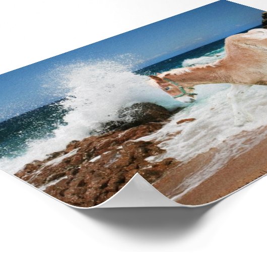 Poster Projet De La Mer (Coin)