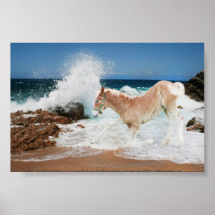 Poster Projet De La Mer