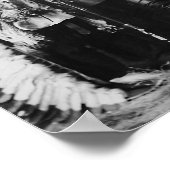 Poster Projet de loi Sitting Bull and Buffalo - 1897 (Coin)