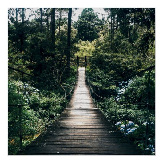 Poster Promenade À Travers La Forêt (Devant)