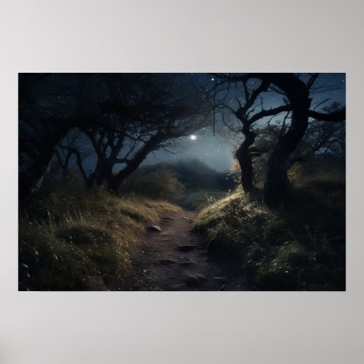 Poster Promenade au clair de lune sur un sentier sinueux (Devant)