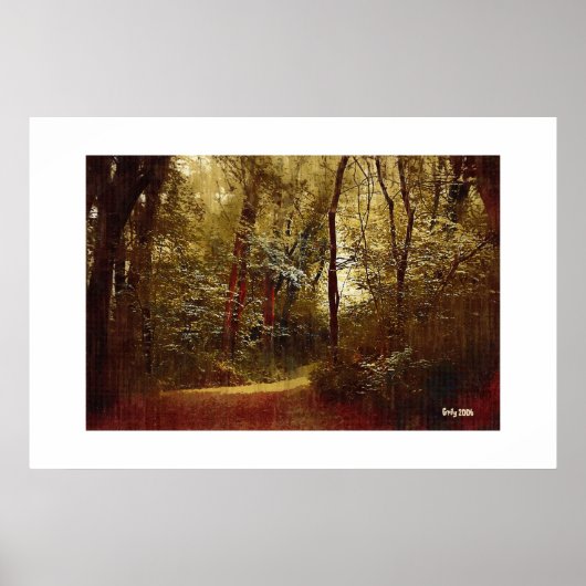 Poster Promenade dans la forêt (Devant)