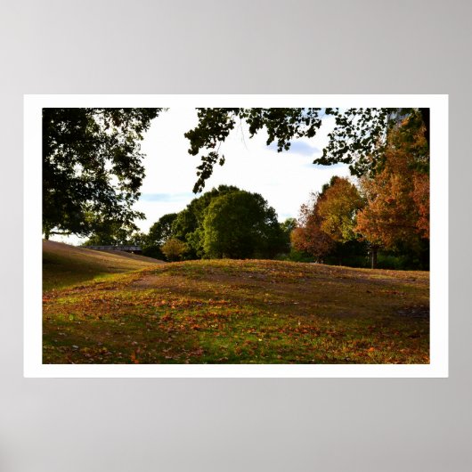 Poster Promenade Dans Le Parc (Devant)