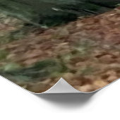 Poster Promenade dans les bois (Coin)