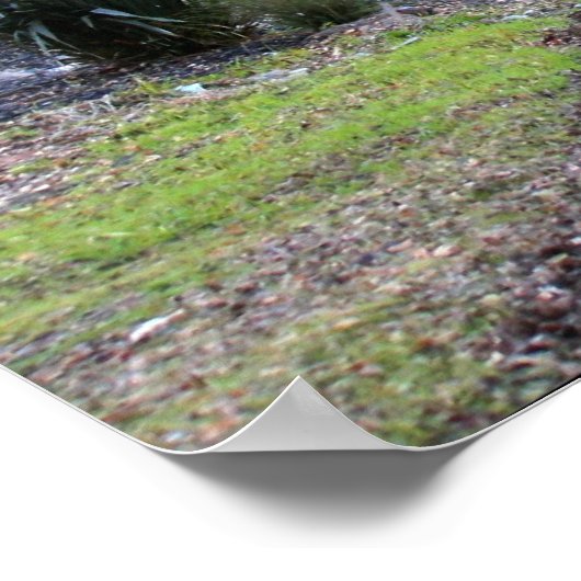 Poster "Promenade d'automne" (Coin)