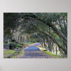 Poster "Promenade d'automne "