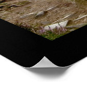 Poster Promenade des précipices (Coin)