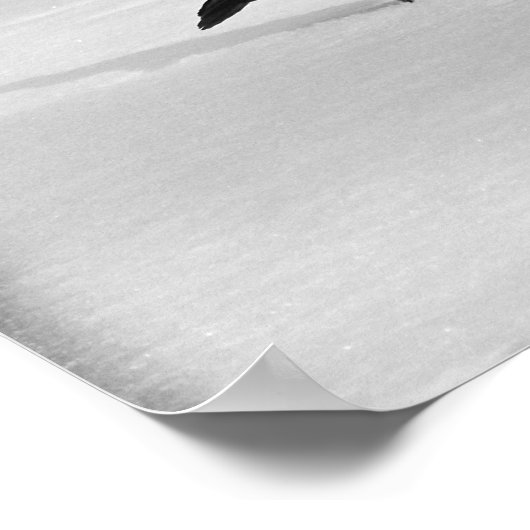 Poster Promenade du Corbeau des neiges (Coin)