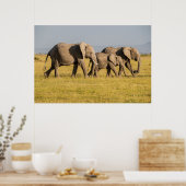 Poster Promenade en famille des éléphants (Cuisine)