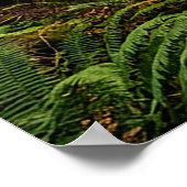 Poster Promenade en forêt (Coin)