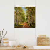 Poster Promenade Forestière Entourée D'Une Verdure Verdoy (Cuisine)
