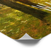 Poster Promenade inspirante dans la lumière de la Bible V (Coin)