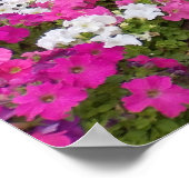 Poster Promenade paysagée (Coin)