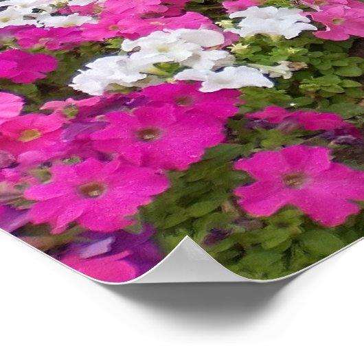 Poster Promenade paysagée (Coin)