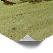 Poster Promenade sur la longue route - chameaux sur l'île (Coin)