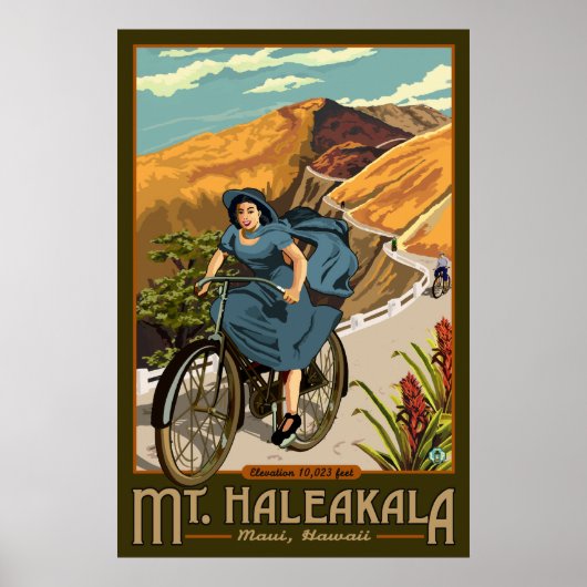 Poster Promenades à vélo du mont Haleakala Hawaii (Devant)