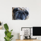 Poster Prompt rétablissement Pug chien malade (Bureau à domicile)
