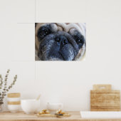 Poster Prompt rétablissement Pug chien malade (Cuisine)