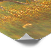 Poster Pronghorn Antelope dans le Montana (Coin)