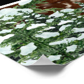 Poster Prop de photo d'anniversaire de pays de bois et de (Coin)