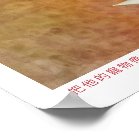 Poster Propagation d'affiches chinoises sur l'espace (Coin)