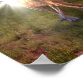 POSTER PROPAGER LA PAIX AUX NATIONS (Coin)