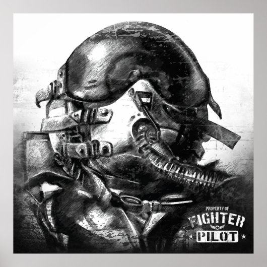 Poster Propriété Du Pilote De Combat (Devant)