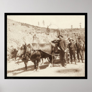 Poster Prospectors with Gold Fever SD 1889