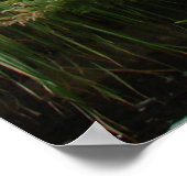 Poster Prospère verset biblique Proverbes 11:25 (Coin)