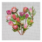 Poster Protea (Devant)