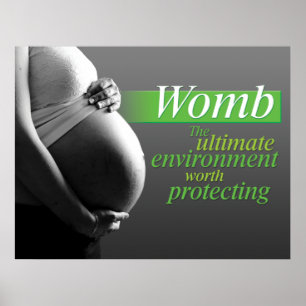 Poster Protect the Womb