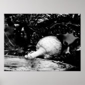 Poster protecteur sombre (Devant)