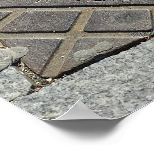 Poster Protection (Coin)