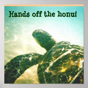Poster Protection contre les tortues de mer d'Hawaii