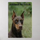 Poster Protection Doberman (Devant)