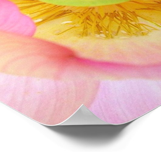 Poster Protégé doucement (Coin)