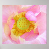 Poster Protégé doucement (Devant)