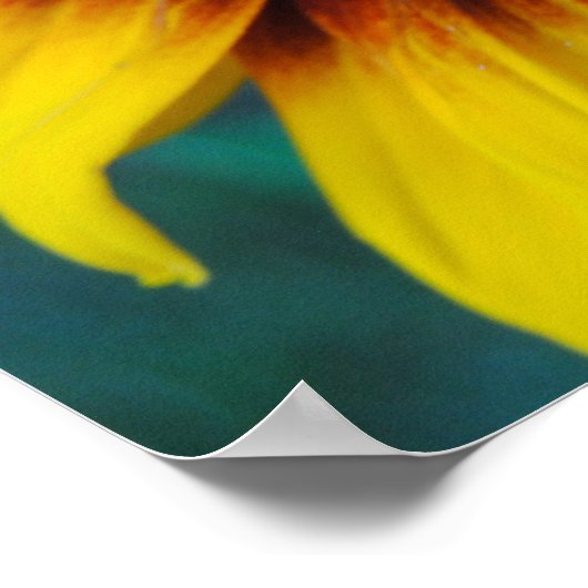 Poster Protéger la beauté (Coin)