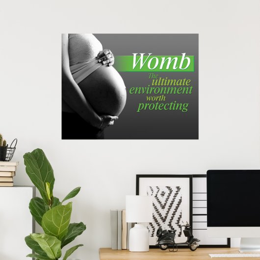 Poster Protéger la bombe (Bureau à domicile)